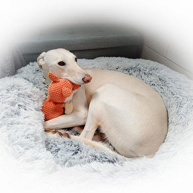 whippet bed - donut style