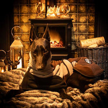 Load image into Gallery viewer, cosy warm whippet fleece
