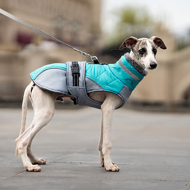 Greyhound Aqua Fleece Dog Coat Waterproof Greyhound Lurcher Polo