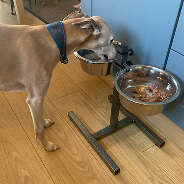 Sighthound Raised Feeding Bowls and Stand