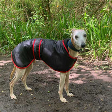 Load image into Gallery viewer, best whippet coat for use with harness
