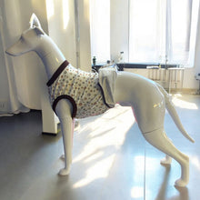 Load image into Gallery viewer, greyhound recovery suit for post surgery
