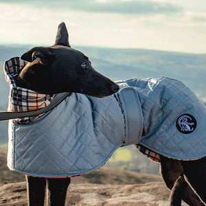 grey quilted whippet coats uk