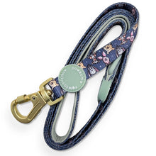 Load image into Gallery viewer, Disney - Winnie the Pooh &amp; Friends Harnesses / Collars / Leads