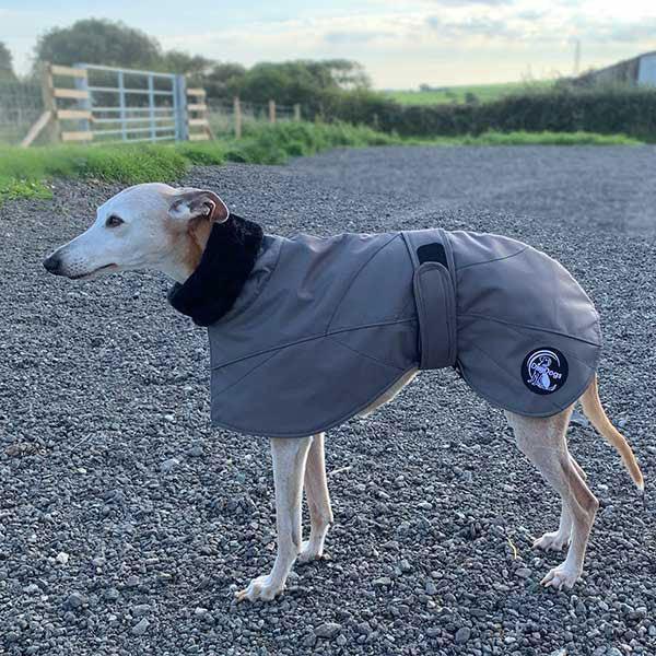 Ofira Sighthound Coat with Faux Fur Lined Snood - Main Image