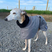 Load image into Gallery viewer, best winter greyhound jacket with snood
