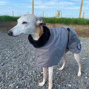 best winter greyhound jacket with snood