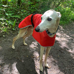 Dry-Light Summer Sighthound Coat with Harness Hole