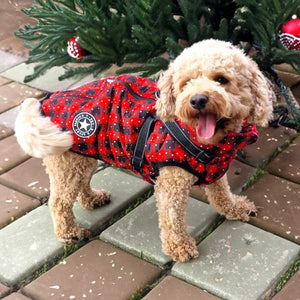 winter dog coat for christmas