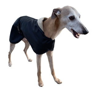 summer whippet coat. lightweight black whippet coat with reflective option for safety