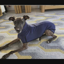 Load and play video in Gallery viewer, greyhound, whippet, italian greyhound base-layer fleece coat with underbelly protection and snood collar

