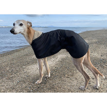 Load image into Gallery viewer, Whippet by the sea wearing a lightweight whippet rain coat
