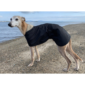 Whippet by the sea wearing a lightweight whippet rain coat