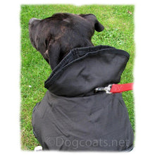 Load image into Gallery viewer, dog coat with turn up collar and hole for lead to go through
