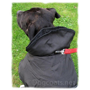dog coat with turn up collar and hole for lead to go through