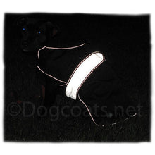 Load image into Gallery viewer, highly reflective dog coat with reflective strap and piping. staffy coat
