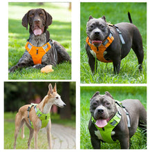 Load image into Gallery viewer, dogs wearing our harness with front control connection point. available in red, orange and green
