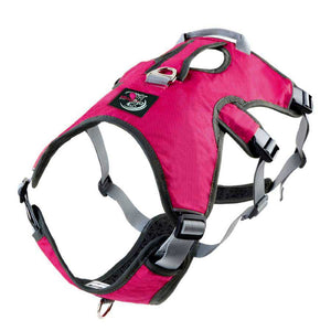 pink escape proof whippet or greyhound harness