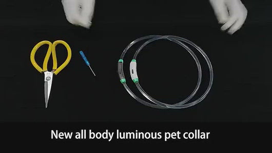 illuminating LED dog pet collars