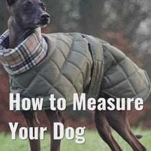 Load and play video in Gallery viewer, Greyhound High-Collar Raincoat Fleece Lined - Made to Measure (Harness Hole optional)
