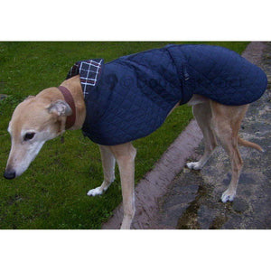 Quilted Greyhound / Whippet Coat / Italian Greyhound