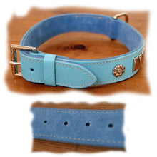 Load image into Gallery viewer, Strong and comfortable, suede backed, leather Staffy collar in light blue, smart and unusual. 
