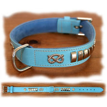 Load image into Gallery viewer, Light blue leather with chrome silver metal furniture staffy collar
