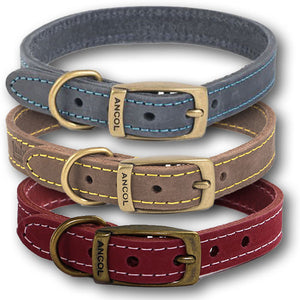 Real Leather Dog Collars. British made. Choice of colours