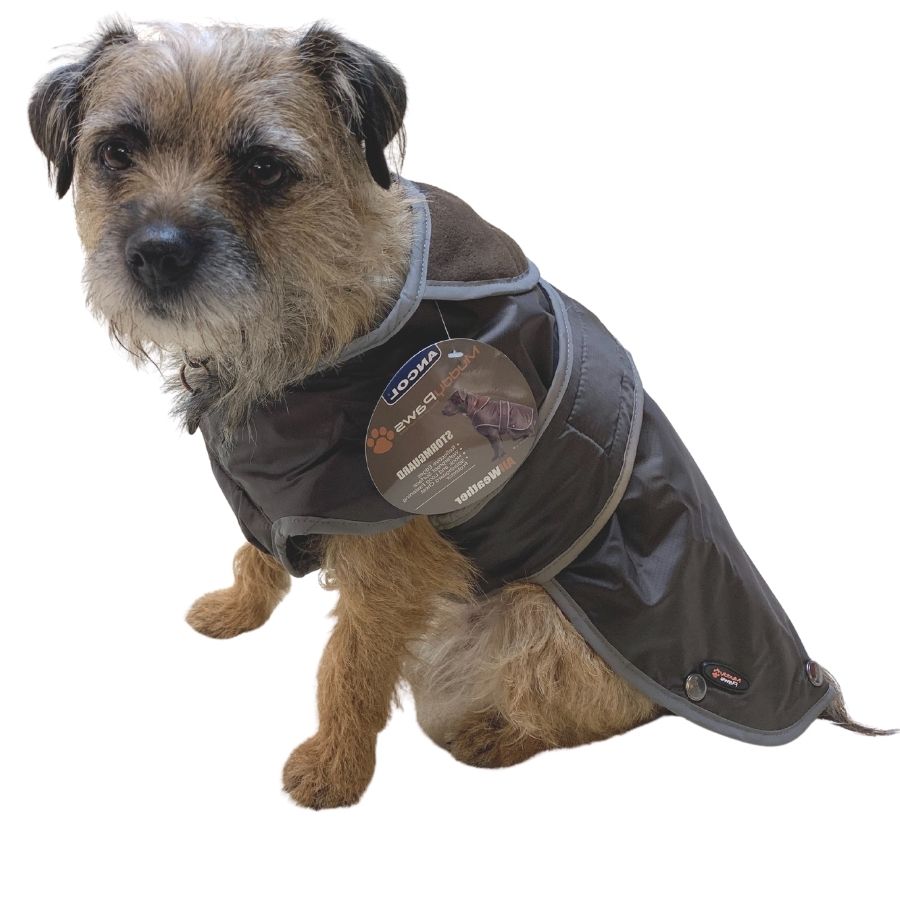 STORM GUARD Dog Coat With Harness Hole And Underbelly Protection storm-guard-dog-coat-with-harness-hole-and-underbelly-protection