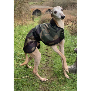 Joey loving his whippet coat. Fleece lined and waterproof whippet coats uk
