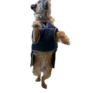 dog coat with belly protection