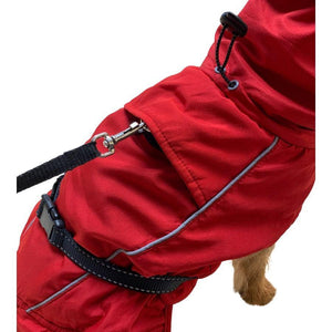 dog coat with harness hole