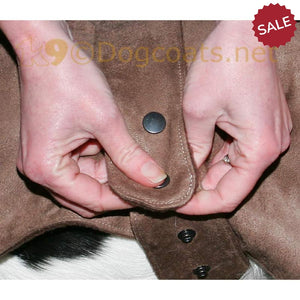 Dog-coat-with-Press-stud-fastener | DryDogsUK