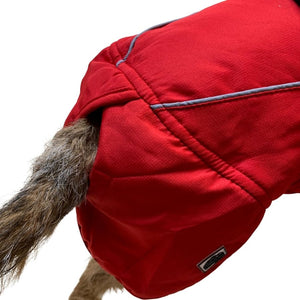 dog coat with back end cover protection and tail hole
