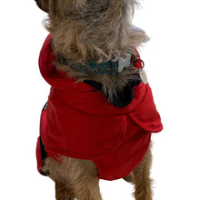 Load image into Gallery viewer, dog coat with chest and belly protection and hood
