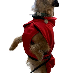 dog coat with under belly cover