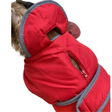 Load image into Gallery viewer, zipped harness hole dog coat
