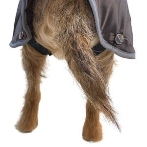 dog coat with belly protector and harness hole