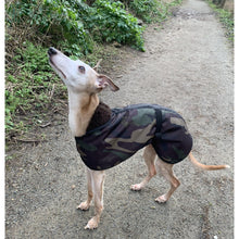 Load image into Gallery viewer, waterproof whippet coats made with camouflage outer shell and warm lining

