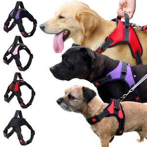 dog harness with grab handle