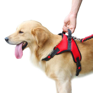 large dog harnesses with handle on back uk