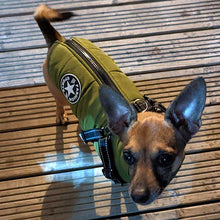 Load image into Gallery viewer, dog coat with built in harness and zip
