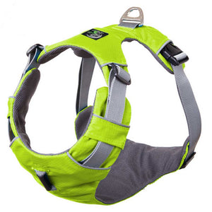 green 2-strap dog harness