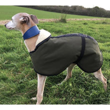 Load image into Gallery viewer, Olive green best winter whippet coats by dry dogs uk. Beautiful whippet jacket for cold weather. stylish and fashionable as well as cut to fit your whippet perfectly. 

