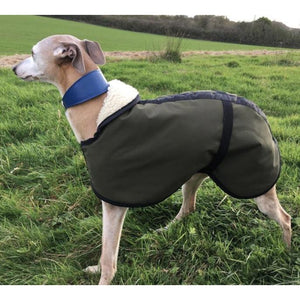 Olive green best winter whippet coats by dry dogs uk. Beautiful whippet jacket for cold weather. stylish and fashionable as well as cut to fit your whippet perfectly. 