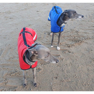 Luna and Charlie on the beach in their reflective whippet coats. fleece lined ideal for winter