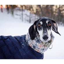 Load image into Gallery viewer, Dog in the snow wearing his waterproof quilted whippet/greyhound coat
