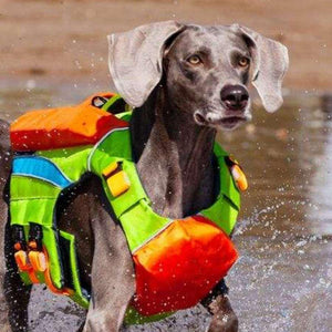 dog life jacket. High quality