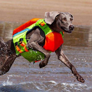 what is the best life jacket for dogs uk