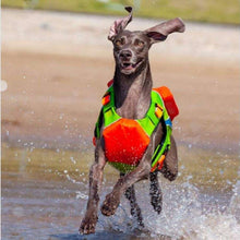 Load image into Gallery viewer, dog life jacket
